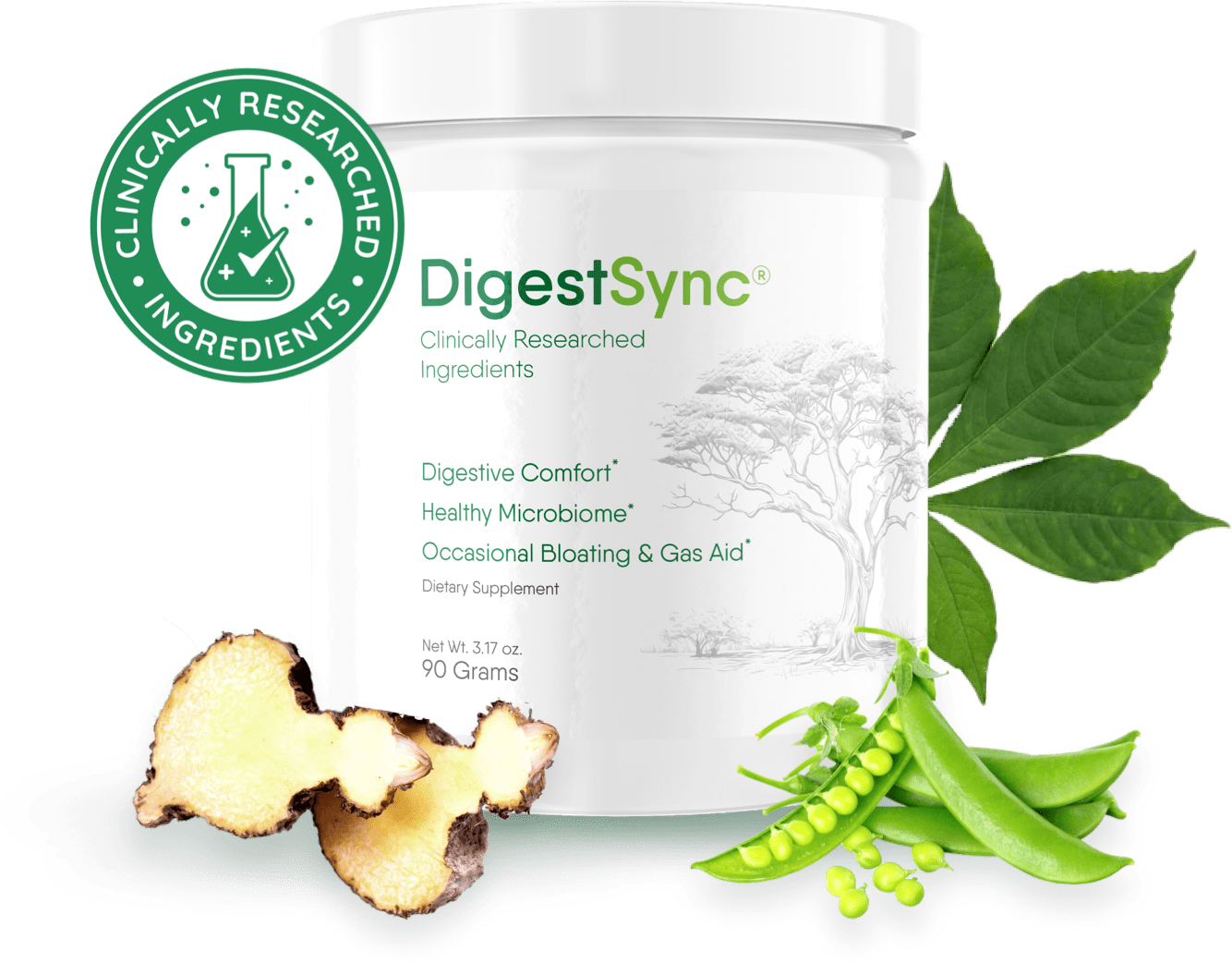 DigestSync Review